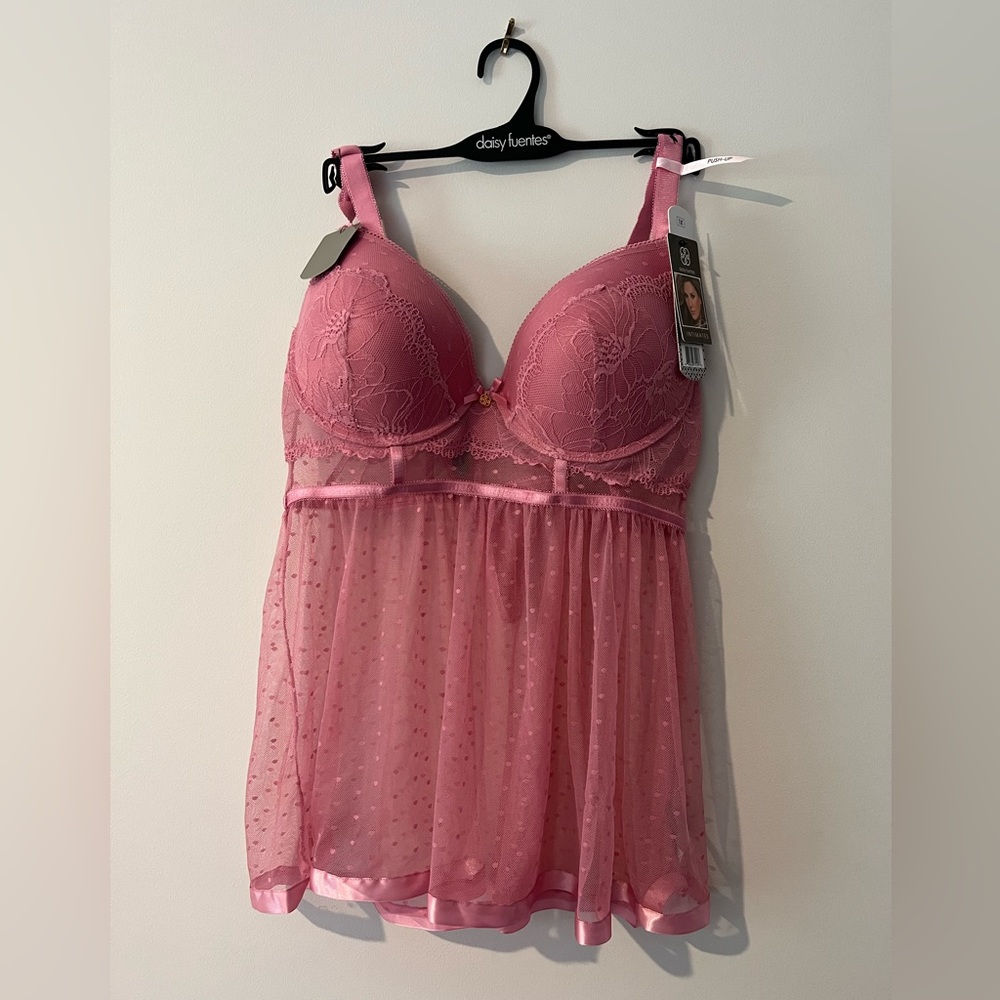 Daisy Fuentes lingerie